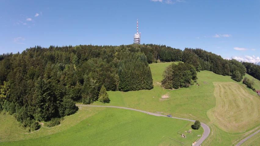 a hill with many trees and animals in it