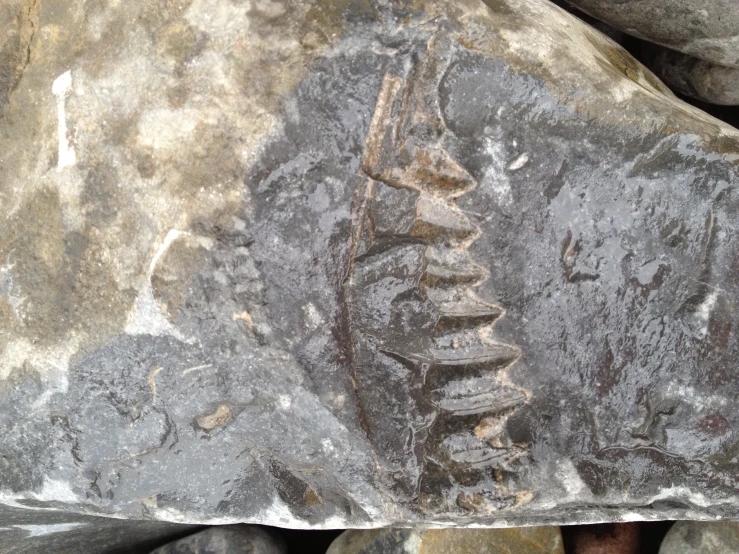 some very big rocks with some very pretty designs on them