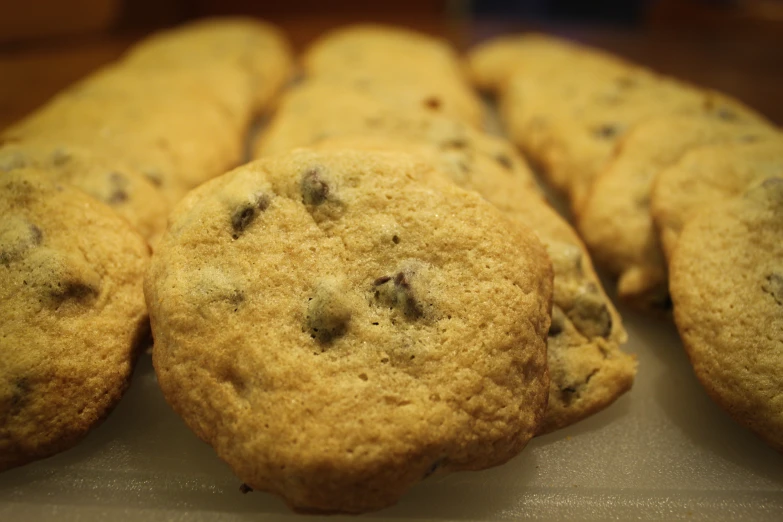 a close up image of several chocolate chip cookies