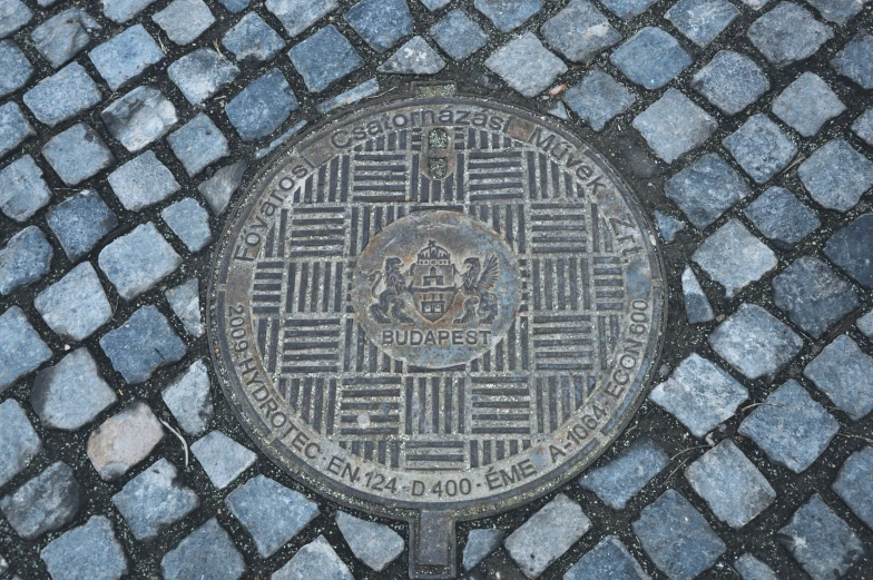 a manhole cover on a cobblestone path