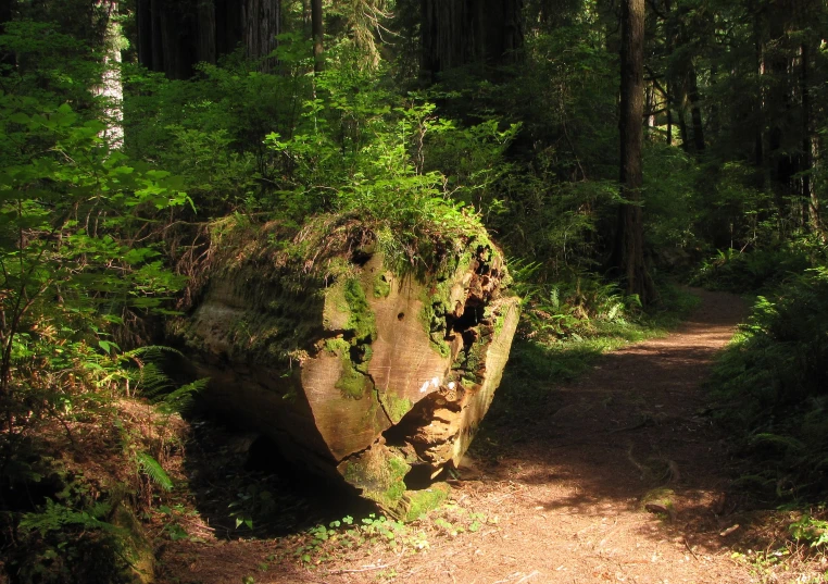 the dirt path is near the large rocks and trees