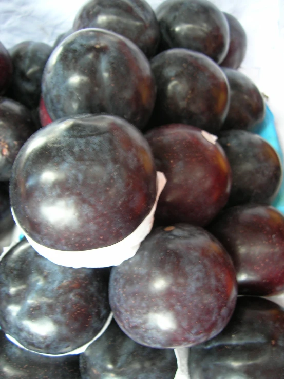 a plate full of black plums is ready to be eaten