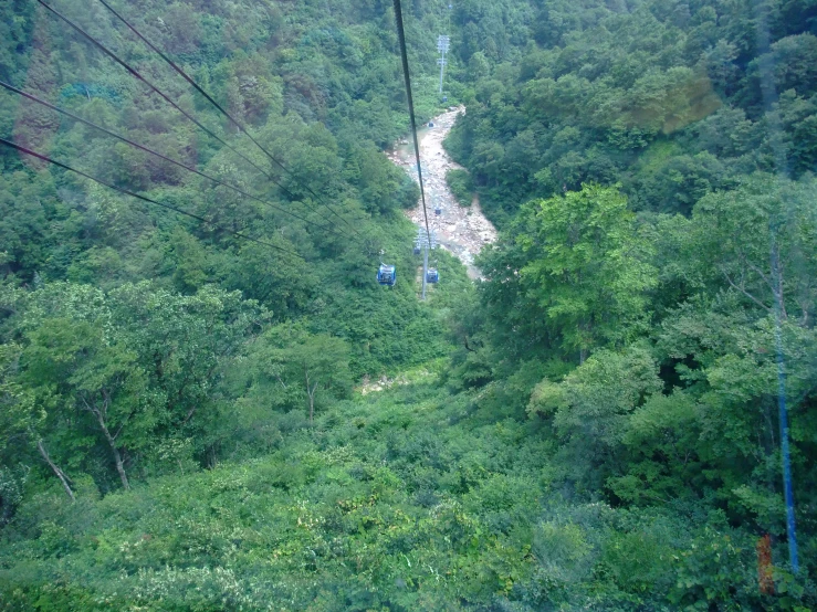 a view from the top of a lift, showing trees and hills
