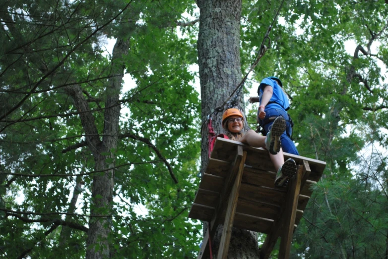 two people working in the trees on ropes