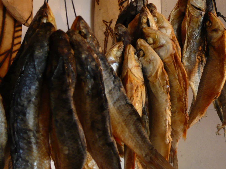 dry fish are hanging by hooks and hanging from the side