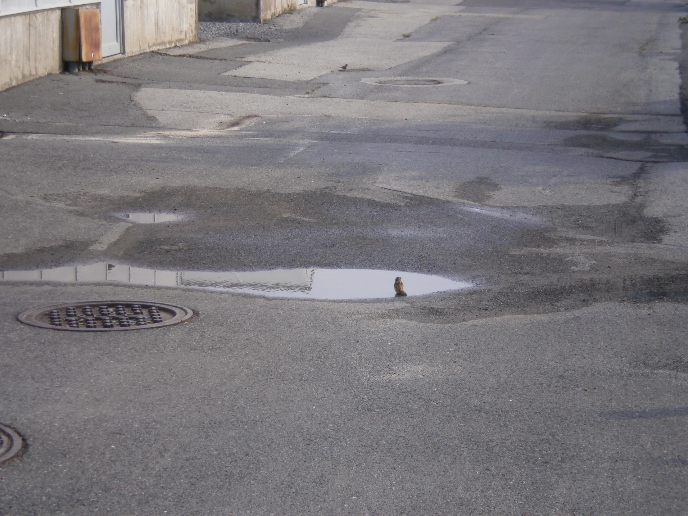 a manhole cover on the side of a city road