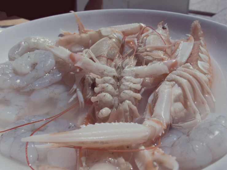 some shrimp with white sauce and water in a bowl