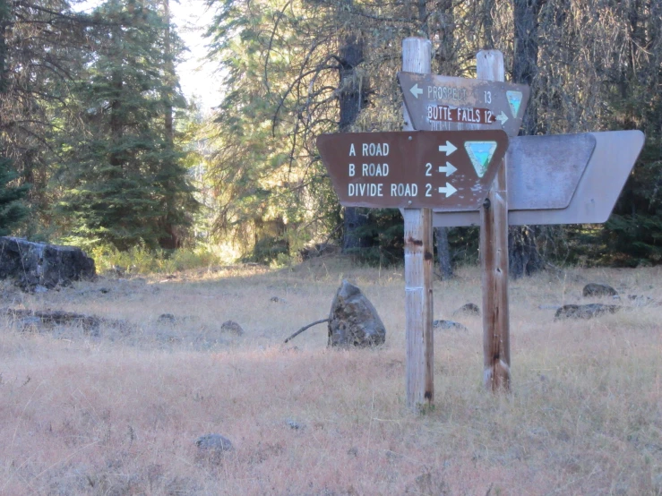 there are many signs in the wilderness near rocks