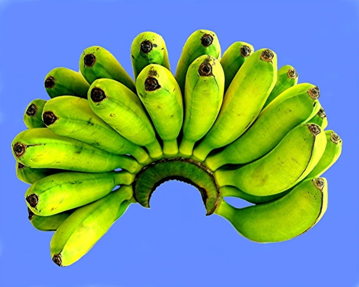 a close - up of a bunch of bananas on a stalk
