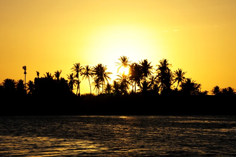 sunset with tree tops reflected in the water