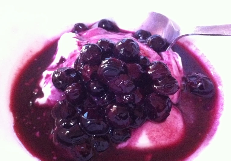 a bowl filled with blueberry and yogurt