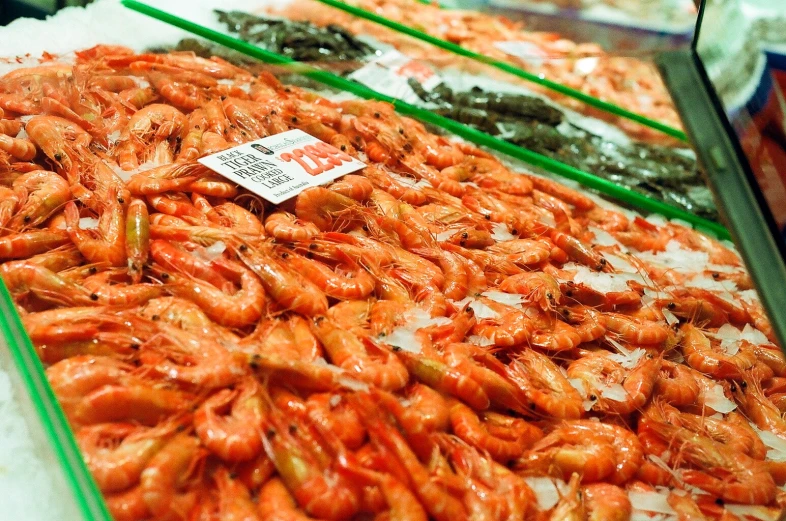 various shrimp on sale in a market for money