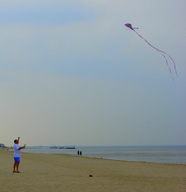 a man standing on top of a sandy beach flying a kite