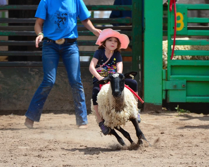 a woman is leading a  around a sheep