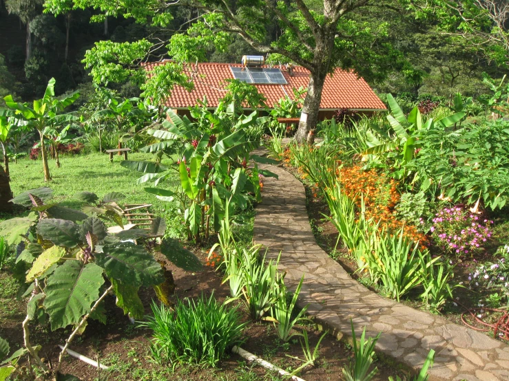 pathway through a garden filled with flowers and plants