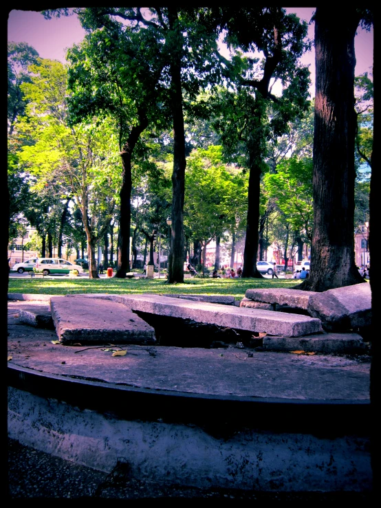 a bench in the middle of a park with trees