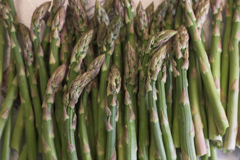 asparagus bunches are displayed on the table