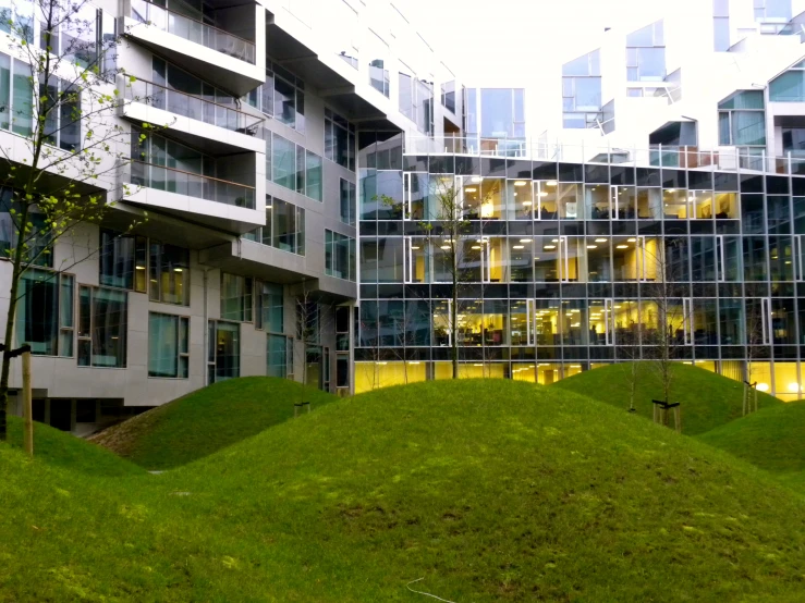 an architectural building with a grassy field in front of it