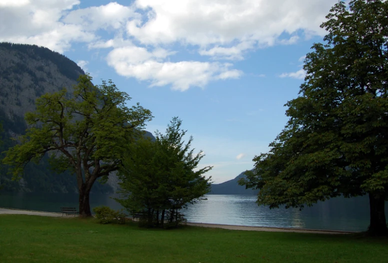 several trees are near the water near mountains