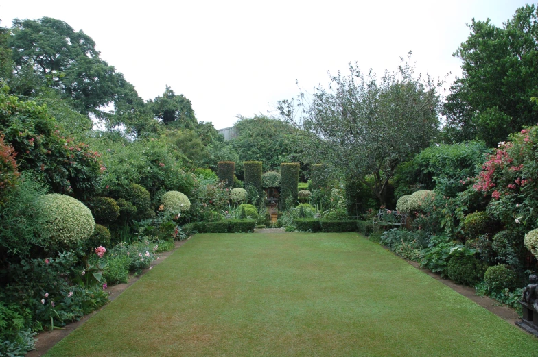 a large lawn covered in lush green grass next to lots of bushes