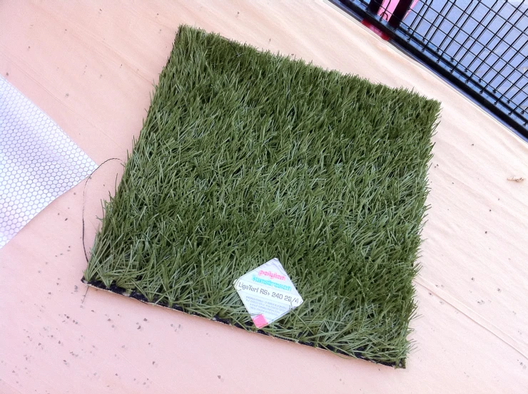 a picture of the green grass on top of the ground
