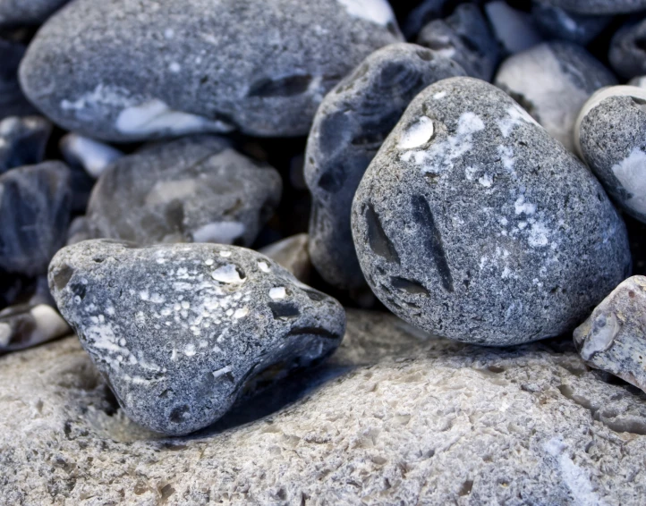 a rock has a few small rocks with white spots