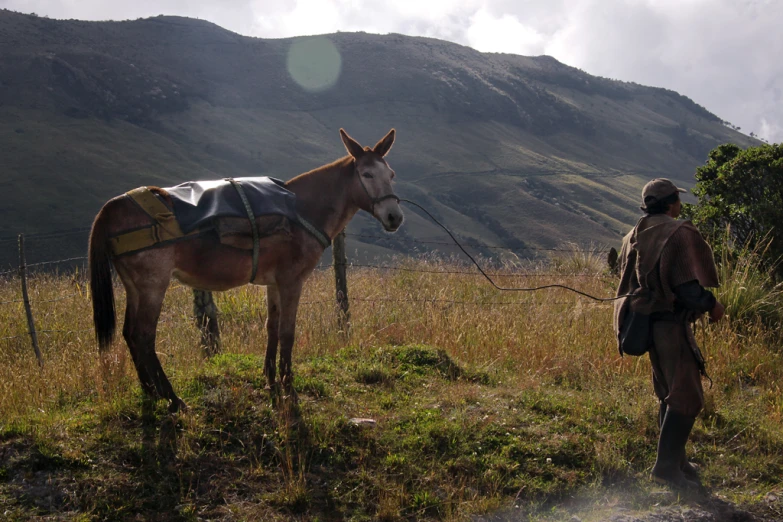 a man is walking with a horse in the field