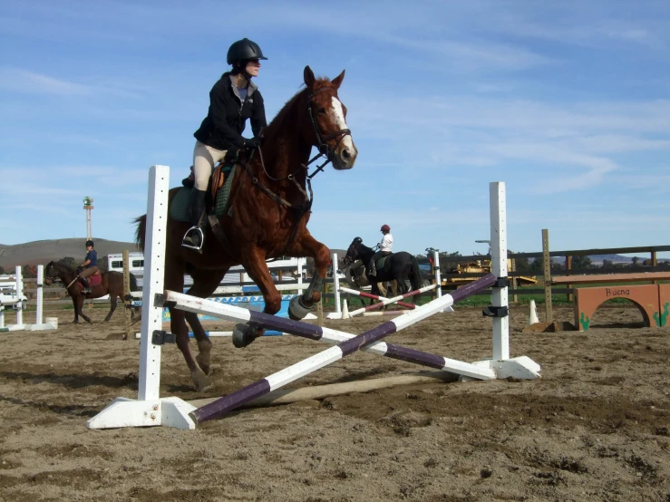 the equestrian is jumping over obstacles with their horses