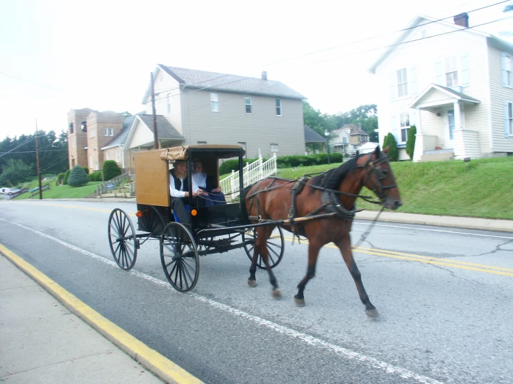 a man and woman driving a horse drawn carriage down the street