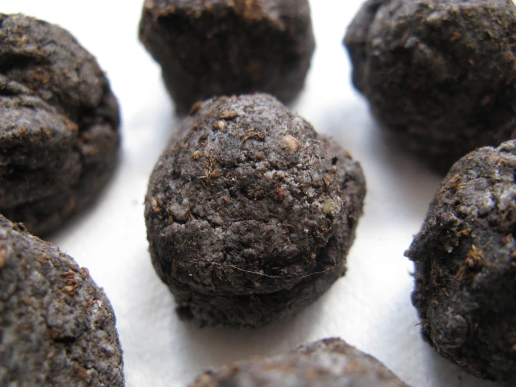 a close - up view of several chocolate muffins