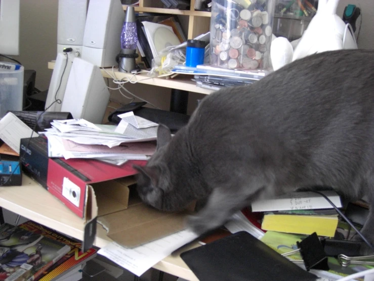 a black cat standing on top of a messy desk