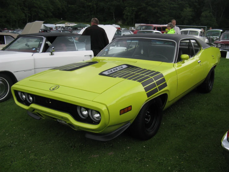 people admiring cars parked in a row at a show