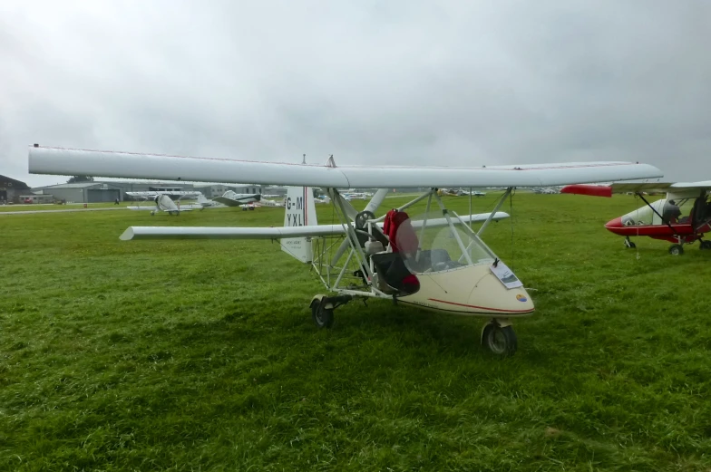 several airplanes are parked in the grass on a cloudy day