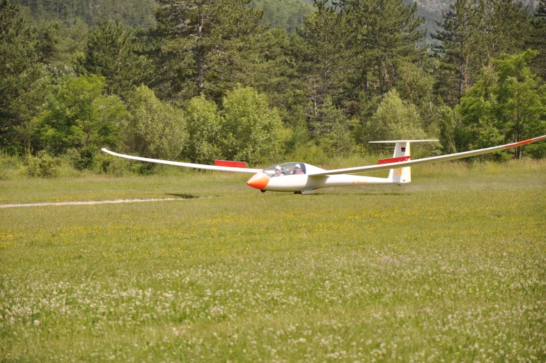 a small plane is sitting on the grass