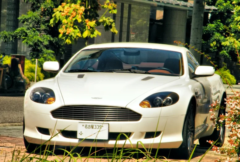 white sports car parked on street next to sidewalk and tree