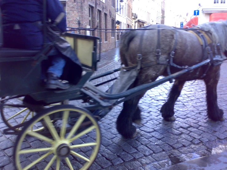 a large brown horse standing next to a yellow carriage