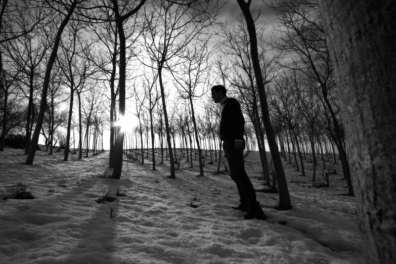 a man stands on a snow - covered hillside next to trees