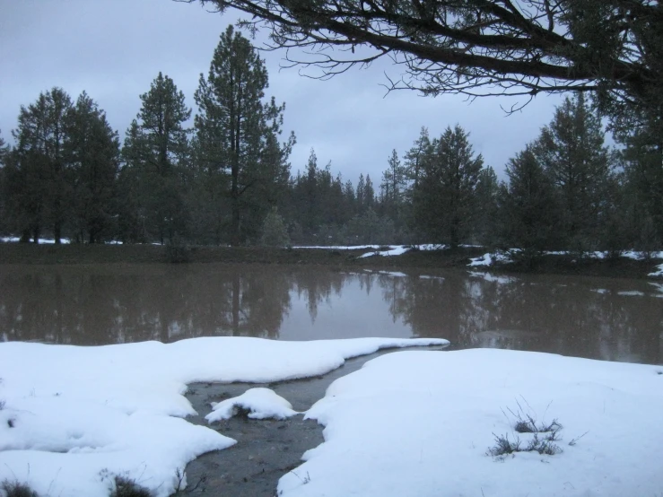 a creek and a forest covered in snow with a few clouds