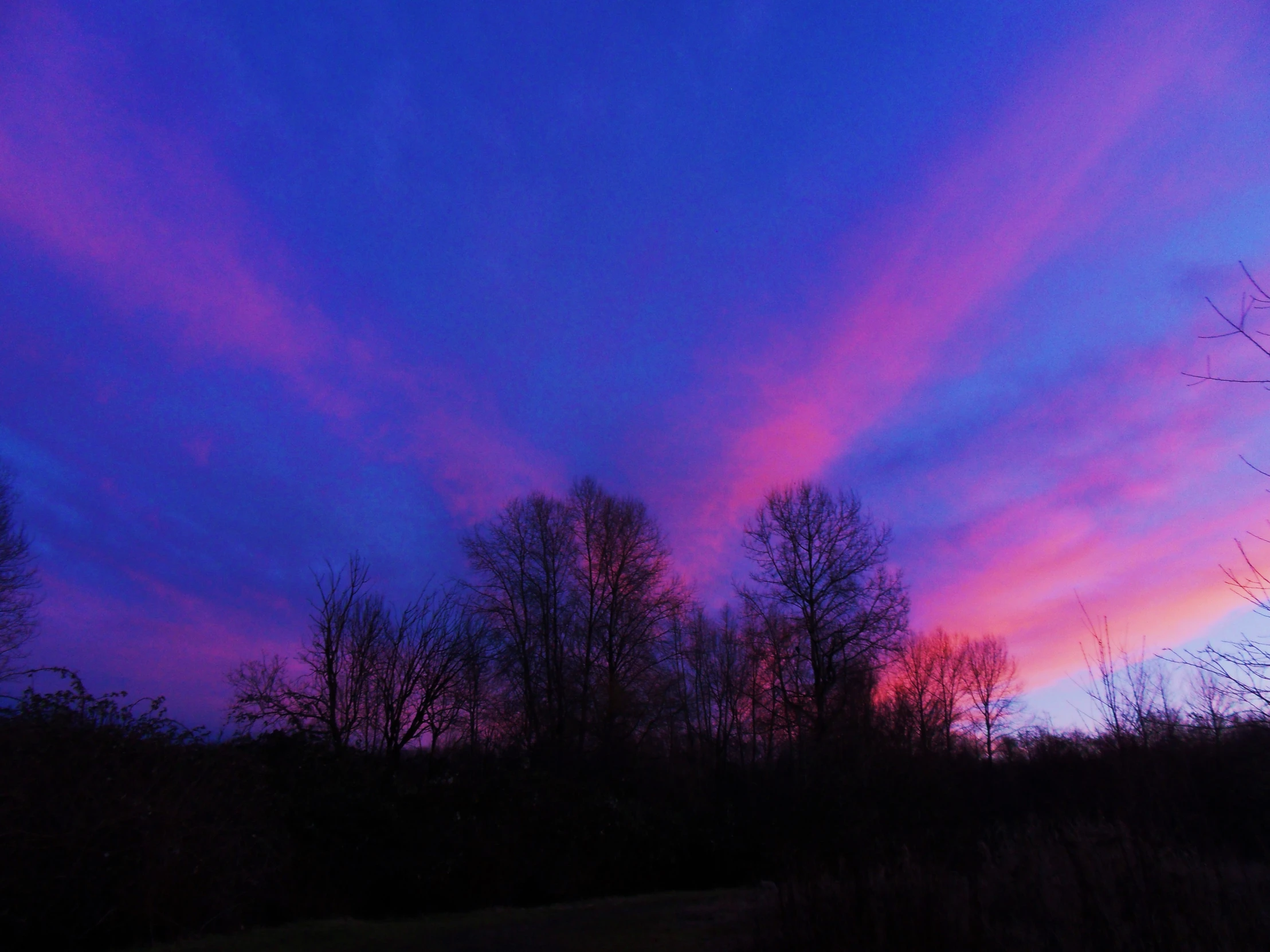 a purple sky with a purple and pink background