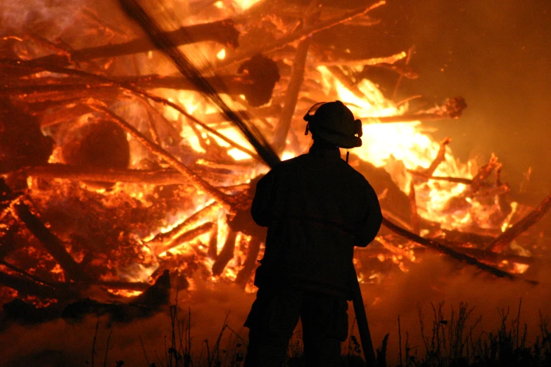 a fire fighter standing next to a huge bush on a dark night