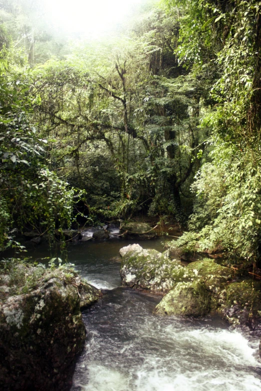 a creek that has some rocks in it