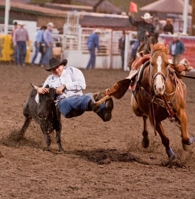 a man on a horse and a bull at a rodeo