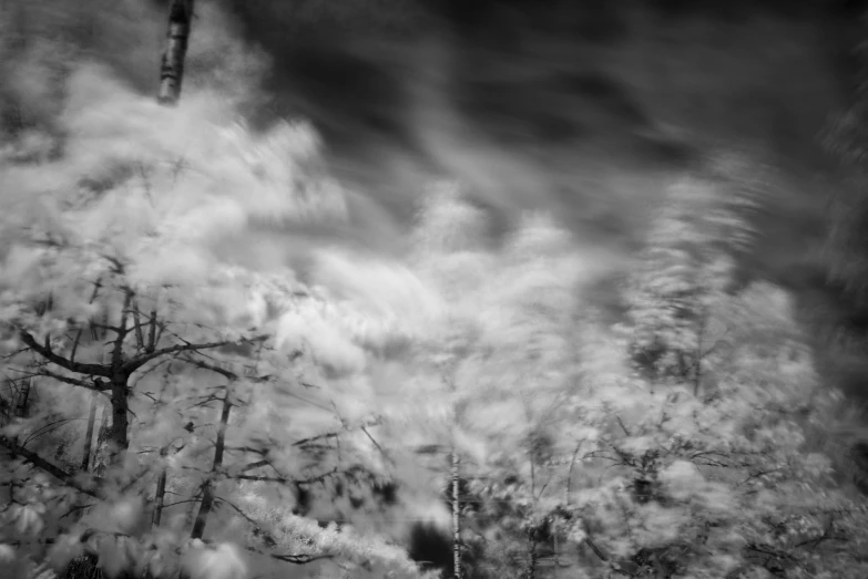 an black and white po of an area with trees, smoke, buildings and a street light