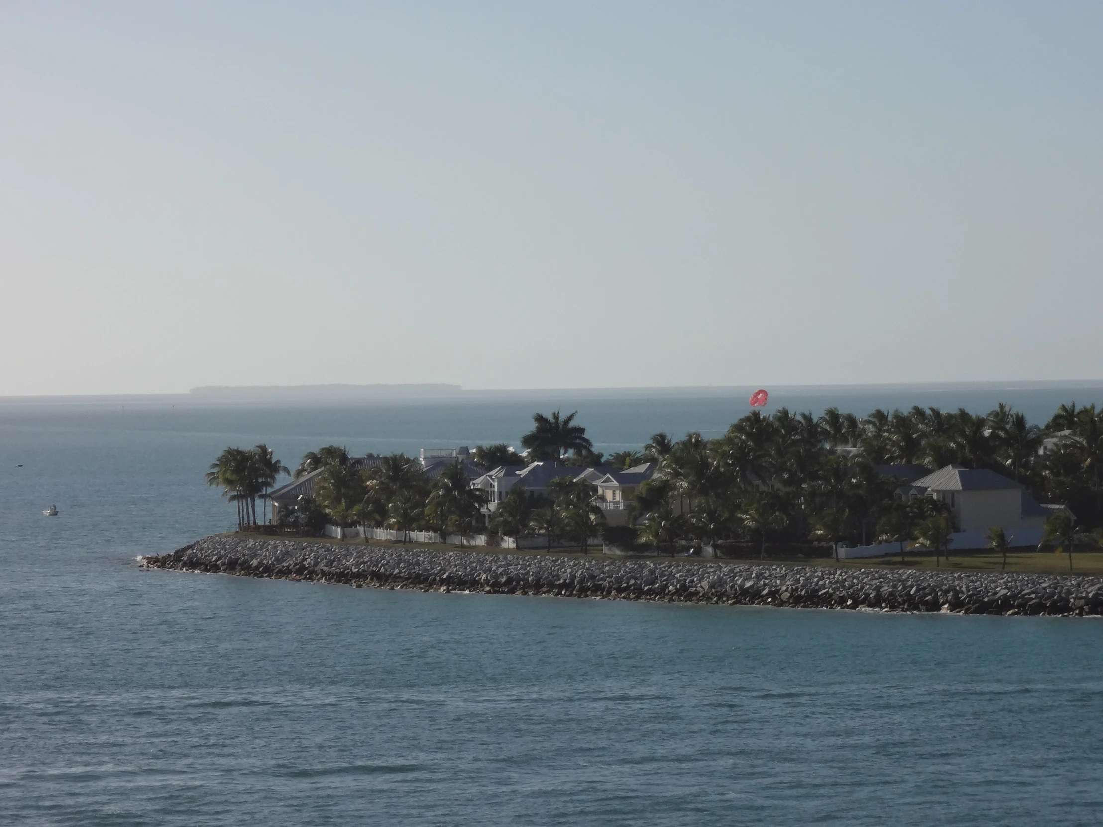 the island with palm trees is far from the water