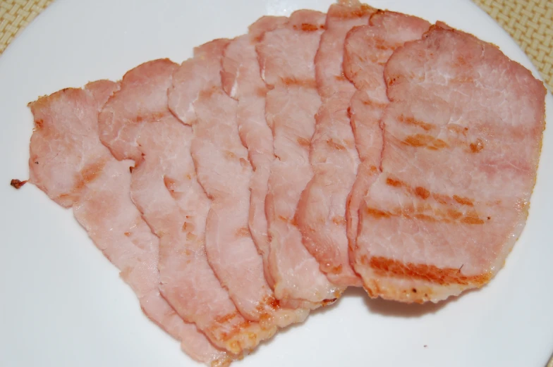 pieces of bacon sitting on top of a white plate