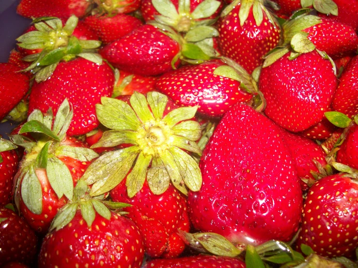 a big bunch of ripe strawberries piled high together