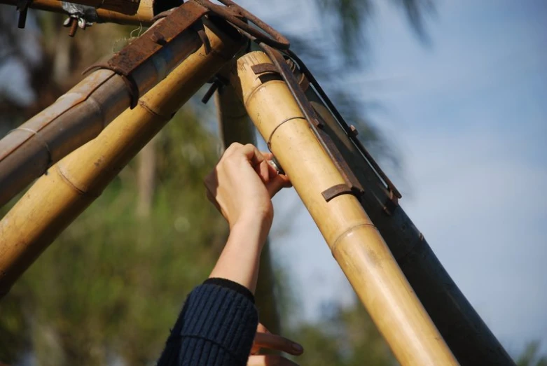 a man sticks bamboo into the top of a bird house