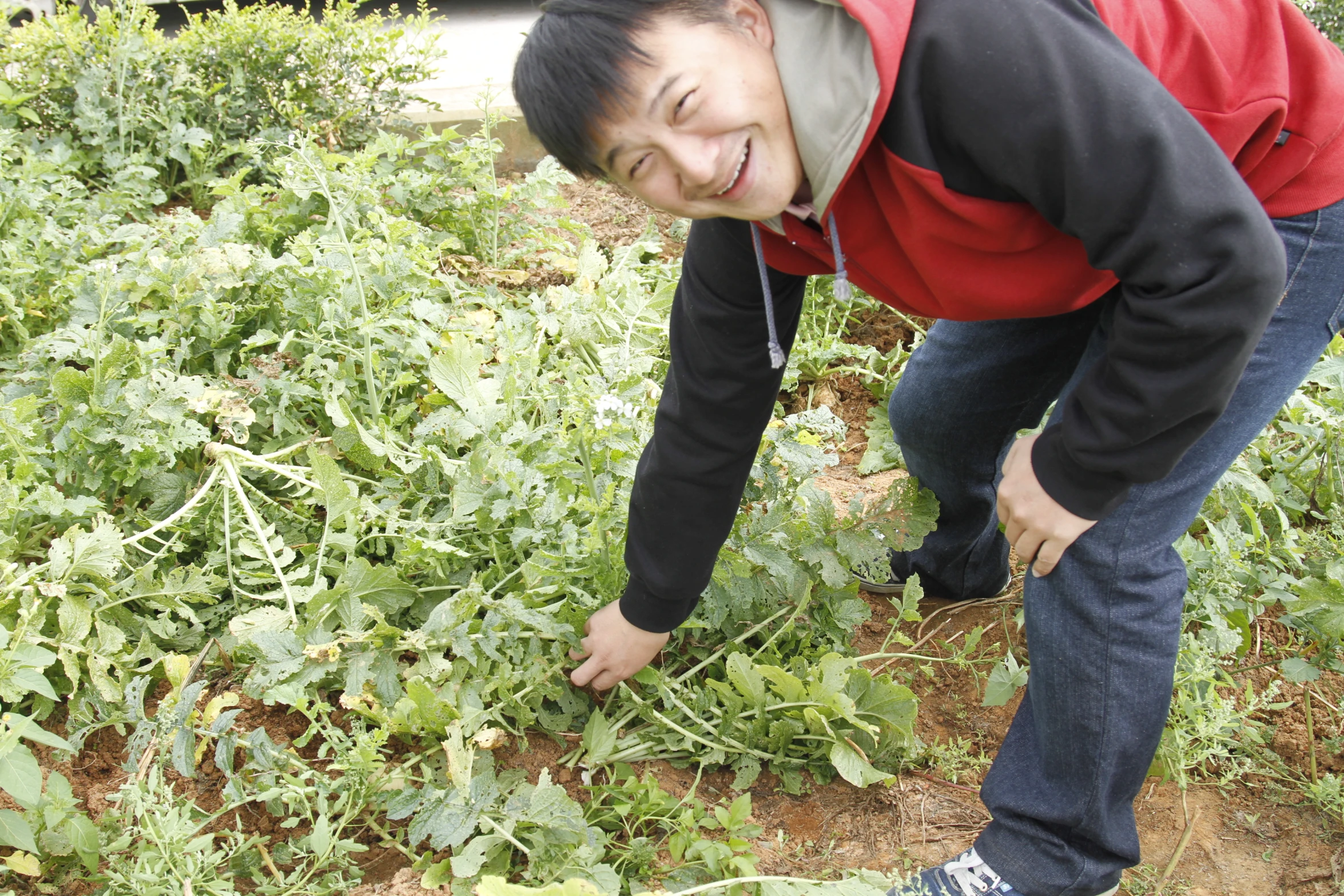 a young man in a park holding plants