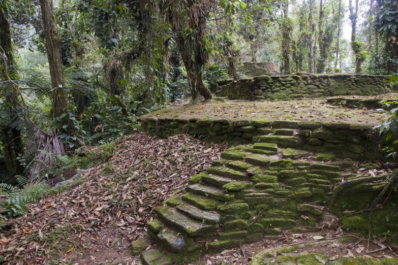 stairs are covered with moss and stone in the jungle