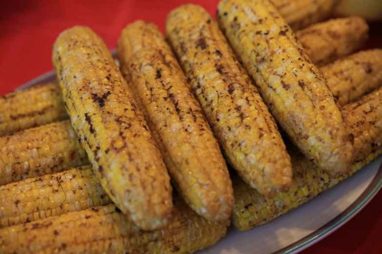 grilled corn on the cob on a white plate